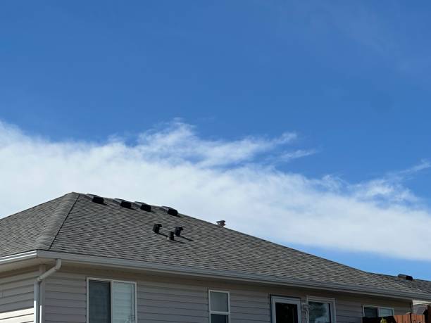 Best 4 Ply Roofing  in Oviedo, FL